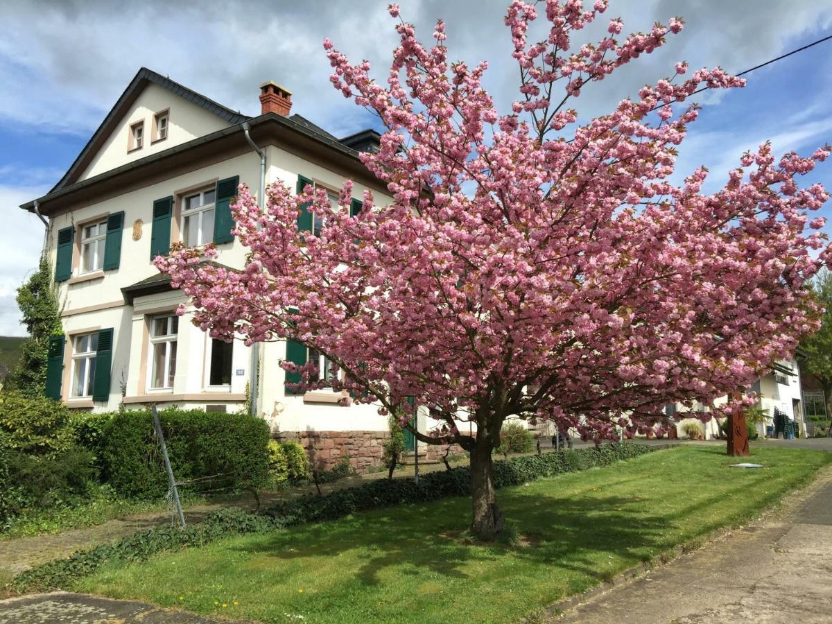 Ferienbungalow Kampenheissji Wiltingen エクステリア 写真